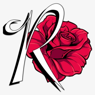 Hybrid Tea Rose #8647200