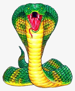 King Cobra Snake Clipart #8647397