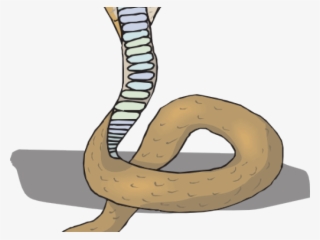 Clip Art #8647430