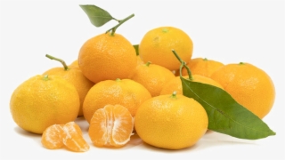 Mandarin Orange Png Image Background - Tangerine #8647584
