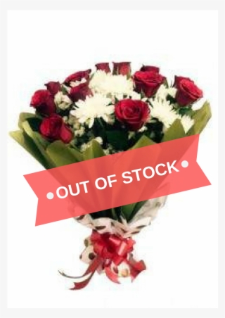 More Views - Garden Roses #8648330