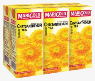 Chrysanthemum Tea Malaysia #8649014