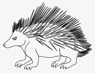 Porcupine - Sketsa Gambar Landak #8649459 Porcupine - Sketsa Gambar Landak #8649459