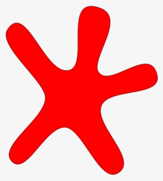 This Png File Is About Star , Rund , Round , Stern - Marine Invertebrates #8650458