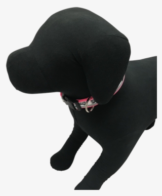 Philadelphia Eagles Dog Collar - Dog #8651155