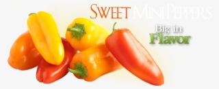 900 X 370 3 - Mini Sweet Peppers Png #8651307