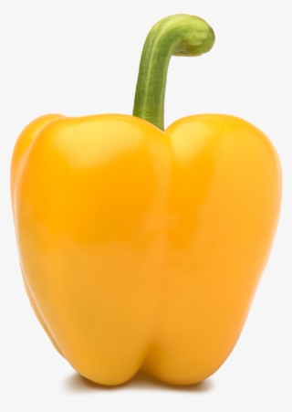 Yellow Bell Peppers - Yellow Pepper #8651511