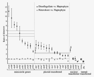Ratio Of Distances Of Plast - Diagram #8651973
