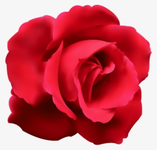 Free Png Download Red Rose Png Images Background Png - Roses Clip Art Png Transparent #8653511