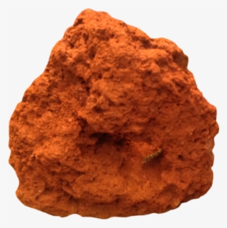 Rocks By The Sea, Lauren Glass Directory - Igneous Rock #8653745