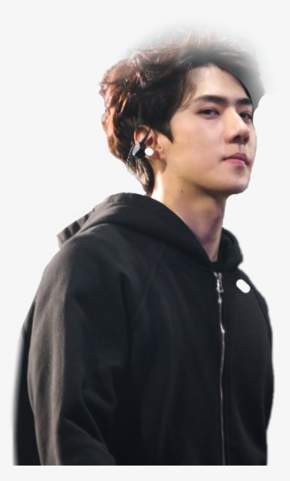 Report Abuse - Exo #8655479