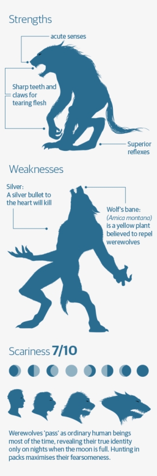 Werewolves - Werewolf Silhouette #8656650