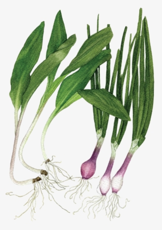 If You Want To Buy My Art #8657674