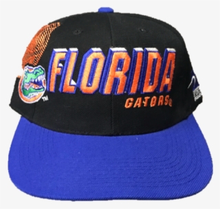 Baseball Cap #8658350