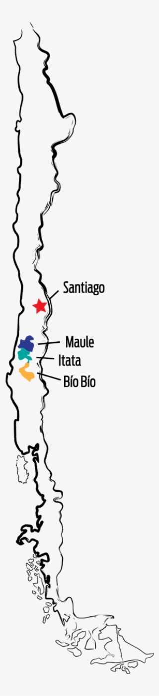 They Believe Chile, Best Known For Varieties Such As - Parallel #8658700