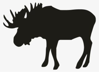 Smock Moose Motif - Attention Moose #8659521