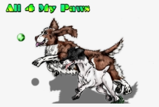 Img - Photobucket - - Dog Catches Something #8659648