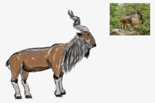 A Still Life Drawing Of A Dragon Ball Ornament Found - Mane #8659881