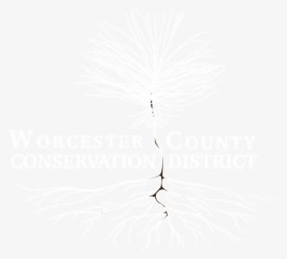 Buy Seedlings - Illustration #8660895