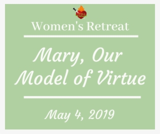 Picture - Insect #8661976