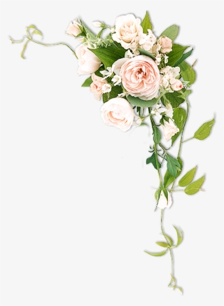 Http - //syedimranrocks - Blogspot - In/ - Flower #8662348