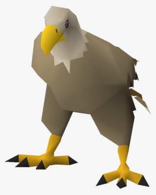 Bald Eagle #8664043 Bald Eagle #8664043