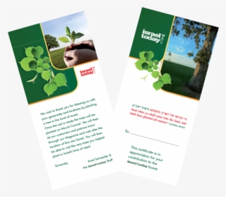 Help Plant The Land Of Israel By Planting A Trees In - Brochure #8664933