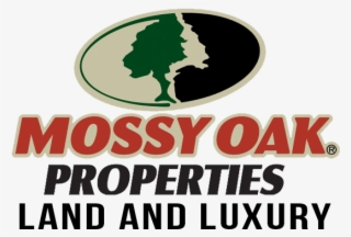 The Carolinas Real Estate - Mossy Oak #8664978
