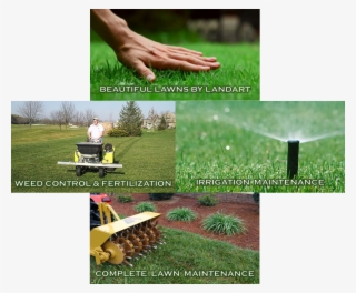 Small Or Large, Single Project Or Season Long Care, - Lawn #8665876