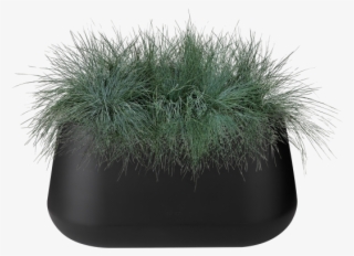 Home > Collection > Pure Cone Long - Grass #8665922 Home > Collection > Pure Cone Long - Grass #8665922