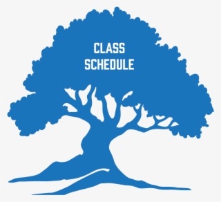 Class Schedule Tree Icon - Waiwera #8666217