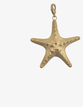 Studded Starfish Enhancer - Locket #8667361