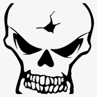 Skull #8667421 Skull #8667421