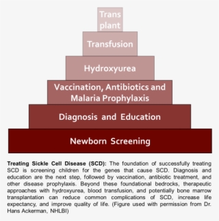 Sickle Cell Disease In Sub Saharan Africa Using Science - Colorfulness #8668023