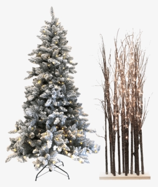 Trees - Christmas Tree #8669769 Trees - Christmas Tree #8669769