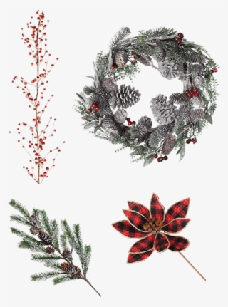 Floral - Illustration #8669912