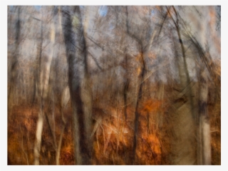 Mosaic Trees Web - Painting #8670935