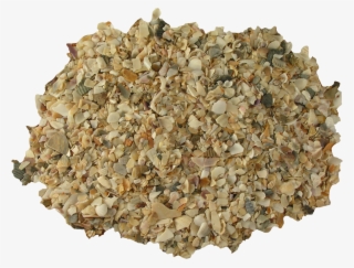 Aquarium Shell Sand Small Kilos - Gravel #8672489 Aquarium Shell Sand Small Kilos - Gravel #8672489