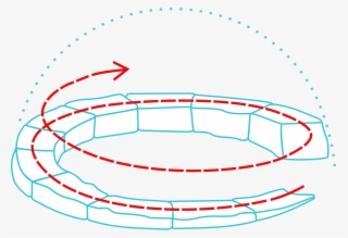 Open - Inside Inuit Igloo #8673281