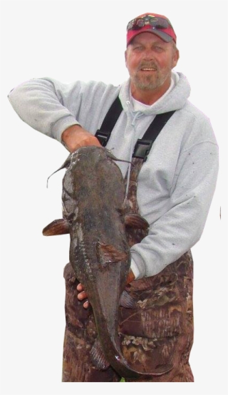 Catfish Conference - Fisherman #8673475