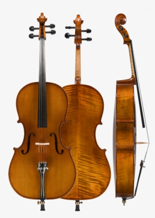 Model - Cello 4 4 #8674527