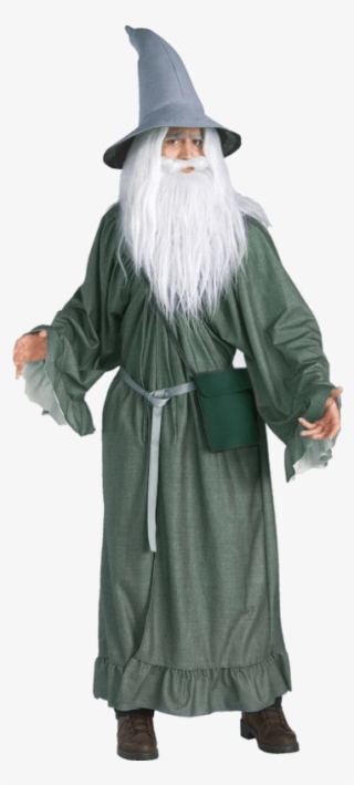 Lord Of The Rings Gandalf - Lord Of The Rings Fancy Dress #8674805