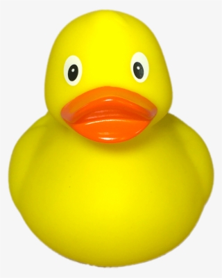 Rubber Ducks - Duck #8675568