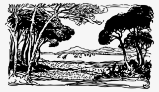 Les Pins Png #8676487