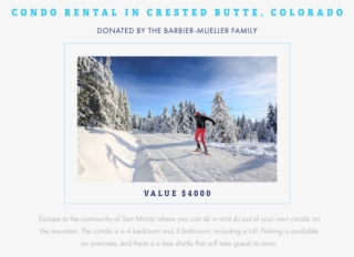 Raffle Item 2 - Skier Stops #8677108