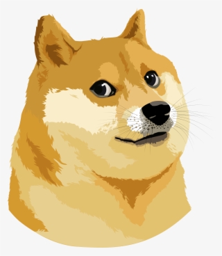 What Is Dogemap - Doge #8677257