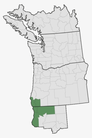 More Information - - Map #8677261