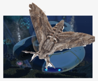 Funny Subnautica And Memes - Osprey #8678811