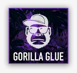 Sticky Fish Carts - Amc Huts #8679551