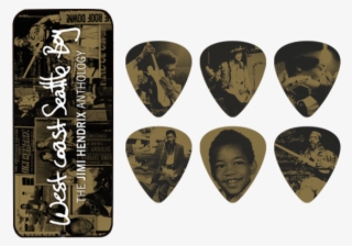 Guitar Pick #8681529